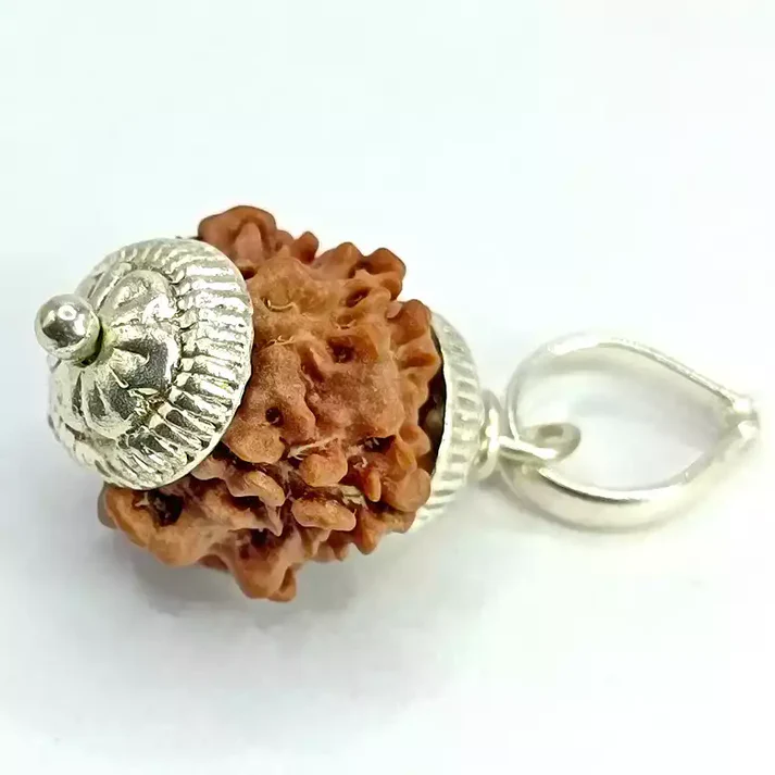 One Mukhi Premium Rare Rudraksha